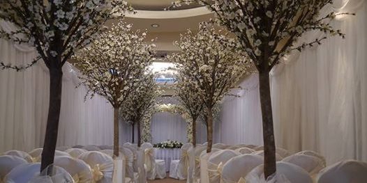 10702131_1069841303032497_1284591035213936494_n