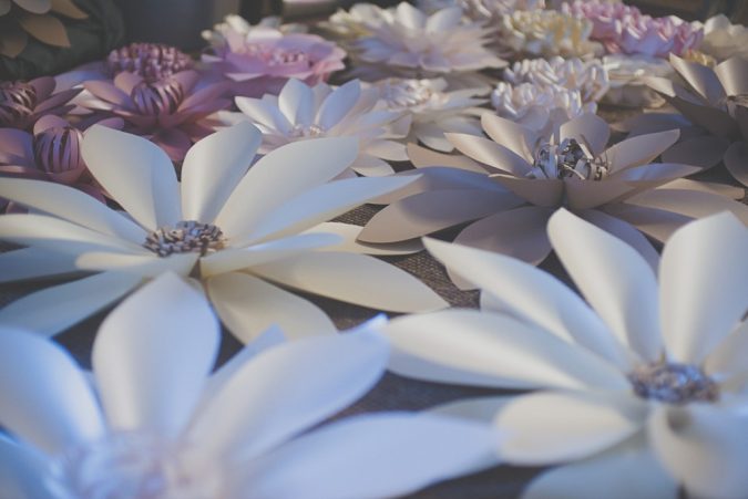 Spring/Summer photo shoot