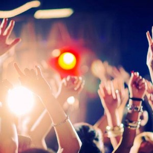 Hen or Stag Hen or Stag