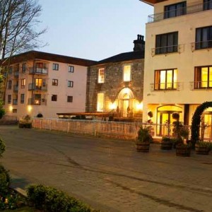 Hen or Stag Hen or Stag