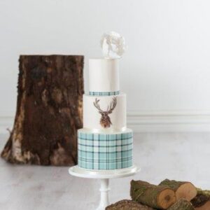 image17 (1) image17 (1)