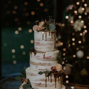 image6 (1) image6 (1)