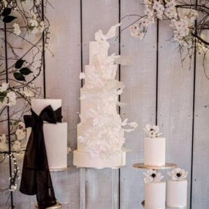 DSC_0003(10) (6) DSC_0003(10) (6)