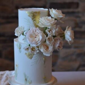 DSC_0072(8) DSC_0072(8)