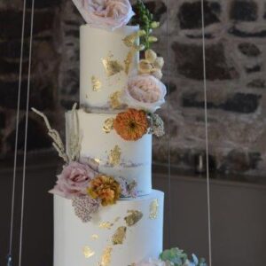 DSC_0174(1) DSC_0174(1)