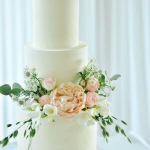 DSC_0265(5) DSC_0265(5)