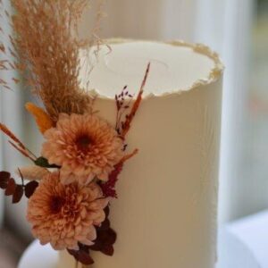 DSC_0781(2) DSC_0781(2)