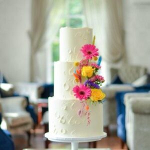 DSC_0895(1) DSC_0895(1)