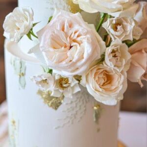 DSC_0986(9) DSC_0986(9)