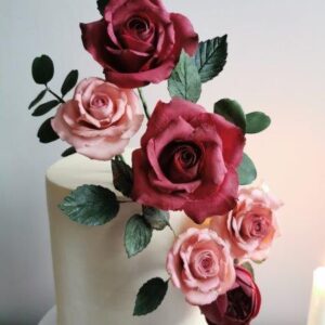 IMG_20201203_091040 IMG_20201203_091040